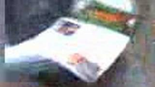 la vida de un pobre loco