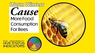 Bees Eating More Than Normal & Why! Plus...Hive Status Indicator Overview