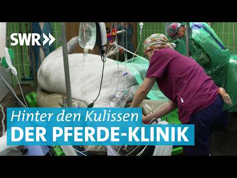 Pferdekolik, Beinbruch und Einschläferung: Unterwegs mit den Tierärzten der Pferdeklinik