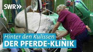 Pferdekolik, Beinbruch und Einschläferung: Unterwegs mit den Tierärzte