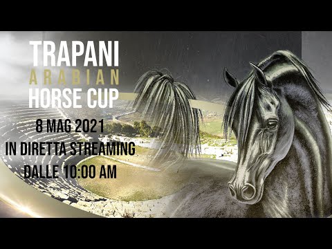 Trapani Arabian Horse Cup 2021 DAY 1- TVIO