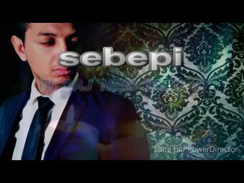 Mr.Nelly *ka saj lji te bistra* (romano rap 2015/2016)