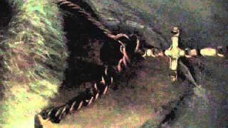 Ron Gillman, A Government Crime Syndicate Psychotronic Voice to Skull Targeted Individual.