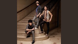 Jonas Brothers - Kung Fu Grip (Audio)