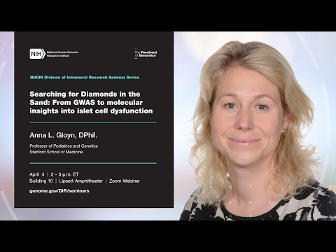 NHGRI DIR Seminar Series - Anna Gloyn