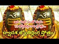 శ్రీ ద్వాదశ జ్యోతిర్లింగ స్తోత్రం 12 జ