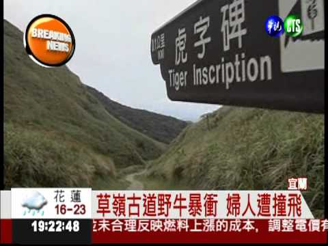 大發"牛脾氣"! 撞飛婦人鎖骨斷