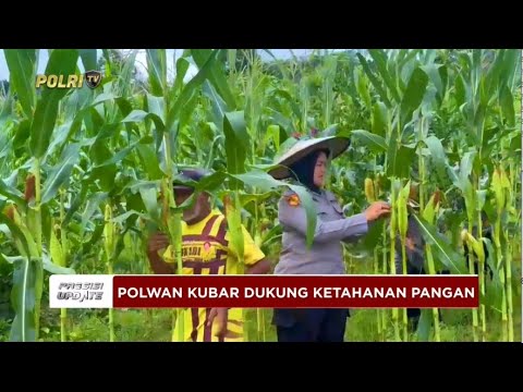 PRESISI UPDATE: POLWAN POLRES KUTAI BARAT DUKUNG KETAHANAN PANGAN NASIONAL 20/04/2025 20.00