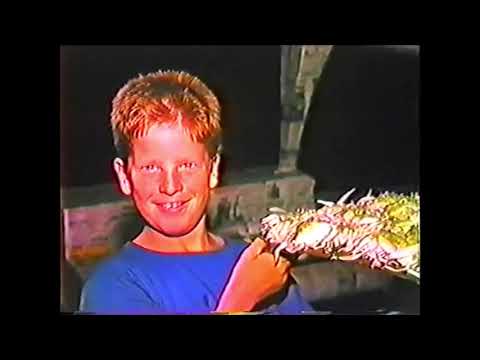 1992 Kluitenberg - España (Bloemencorso Sint Jansklooster)