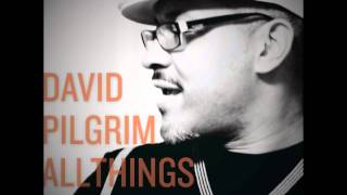 David Pilgrim- Belly - Album Version