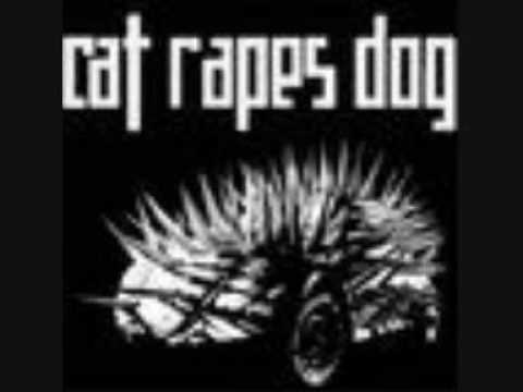 CAT RAPES DOG - Fundamental