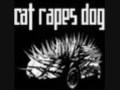CAT RAPES DOG - Fundamental 