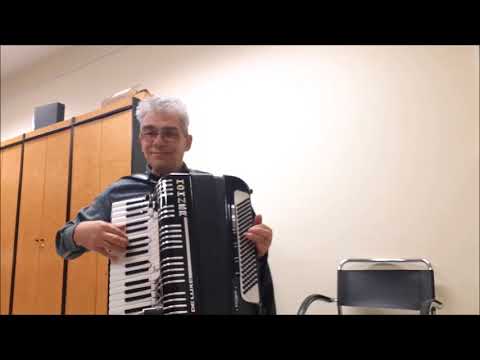 HOHNER ELEKTRAVOX DE LUXE