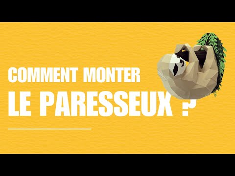 Paresseux - vidéo de présentation