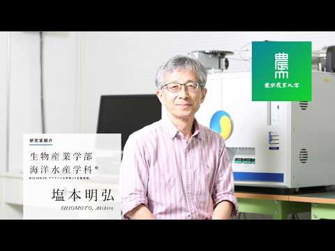生物産業学部 海洋水産学科 研究紹介
