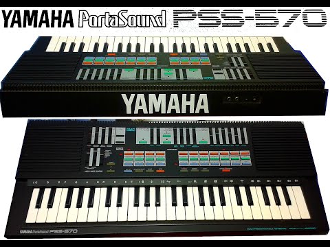 Yamaha PSS-570 (1987, 2 op FM sounds, FM edit, PCM rhythms, great keys) image 16