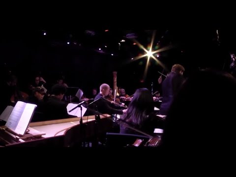 Max Richter - The Four Seasons: Recomposed Live at Le Poisson Rouge, NYC.