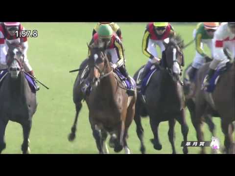 2017 Satsuki Sho (Japanese Two Thousand Guineas)