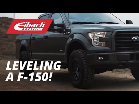 Eibach Pro-Truck Lift System: Ford F-150