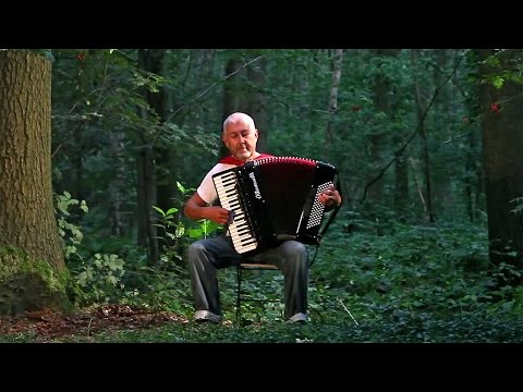 Yann Tiersen - Valse des Monstres - French accordion music - Acordeon - Akkordeonmusik-Akordeon
