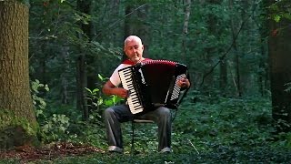 Yann Tiersen French accordion music - Valse des Monstres - Acordeon frances Akkordeonmusik Akordeon