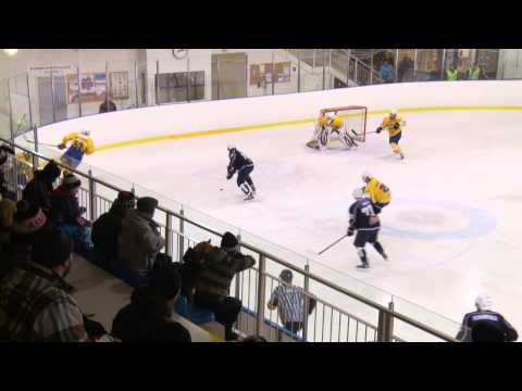 31.1. S-Kiekko - RoKi maalikooste