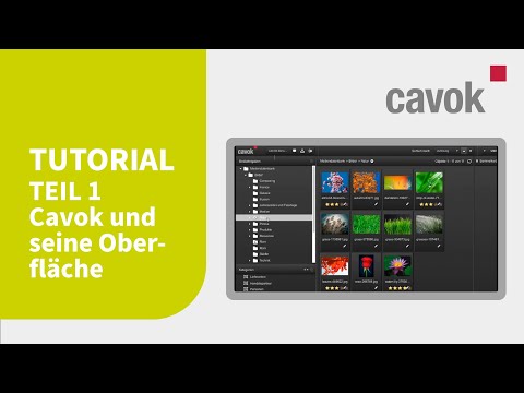 Digital Asset Management: Cavok und seine Oberfläche [Tutorial]