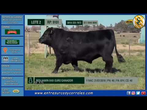 Remate de Cabaña Don Benjamín - Consignataria Daniel Biocca - Marcos Achaval - Saldungaray, Bs.As.