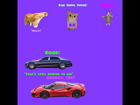 CAT MEMES 🐱 I joined another car revving contest with Meo watching and won again!