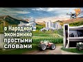 О Народной экономике простыми словами