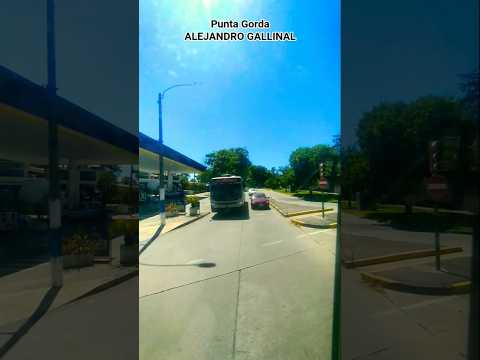 Montevideo 🇺🇾 paseos#turismo#calle Alejandro Gallinal#Punta Gorda.