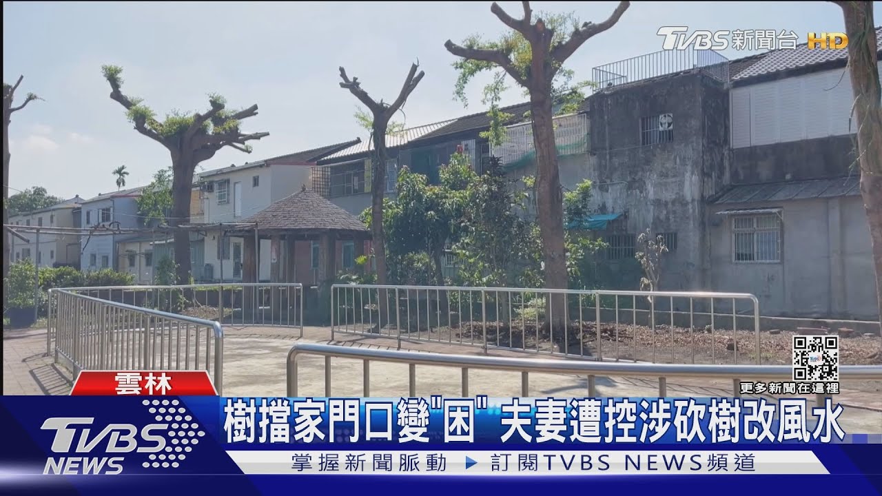 樹擋家門口變「困」 夫妻遭控涉砍樹改風水