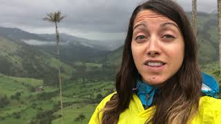 preview picture of video 'Episode 108: Valle de Cocora, Colombia'