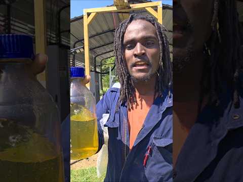 Making Gasoline for Free by Using Plastic and Solar Energy 🤙⛽️