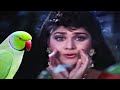 Tota Mere Tota FULL CHIRANJEEVI MUSIC VIDEO Meenakshi Sheshadri Dance Aaj Ka Goonda Raaj Songs
