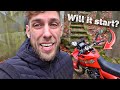 Trying To Start My Old Honda NX650 Dominator After 3 Years In A Shed