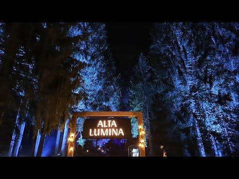 Forêt Alta Lumina Les Gets