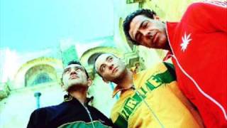 Sud Sound System - Le radici ca tieni(lyrics)