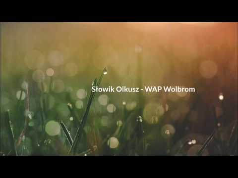 25.01.2020 sparing Słowik Olkusz - WAP Wolbrom