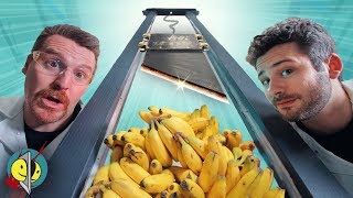 Real Guillotine vs. 100 Bananas &amp; Other Fruits!