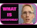 What is Catatonia?