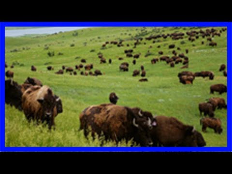 Highway durch die prärie (2/2)