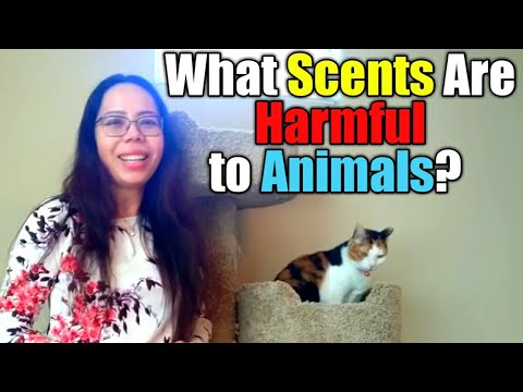 What scents and smell are harmful to animals?