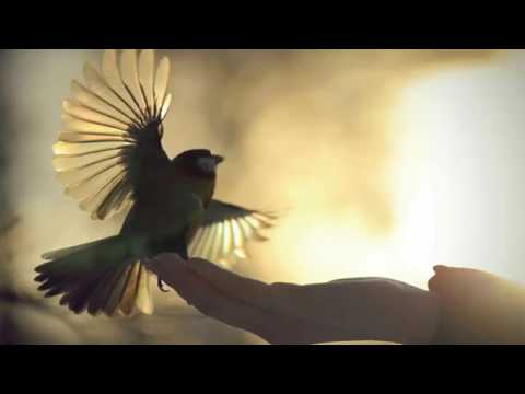 Shon Mc ft 2Boys (Dazzle) -Ту Ай Ма Чимехохи