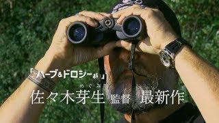 「捕鯨論争」に新たな光をあてるドキュメンタリー映画『おクジラさま　ふたつの正義の物語』特報