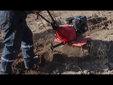 Motoazada Eurosystems Euro 5 PARADA