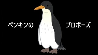 驚きの動物雑学