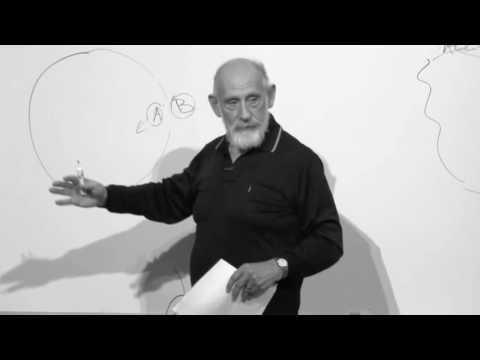 Leonard Susskind: Black Hole Firewall Problem