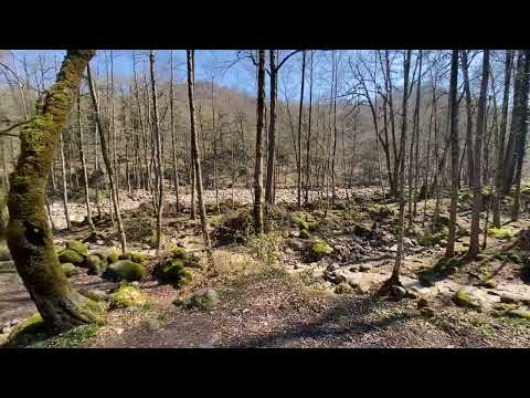 To live will be an awfully big adventure.