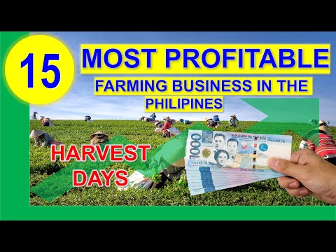 , title : 'Top 15 Most Profitable Farming Business in the Philippines per Return on Investments w/ Harvest Days